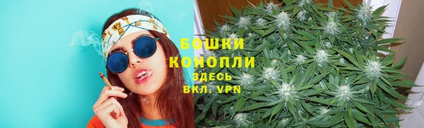 PSILOCYBIN Алексеевка