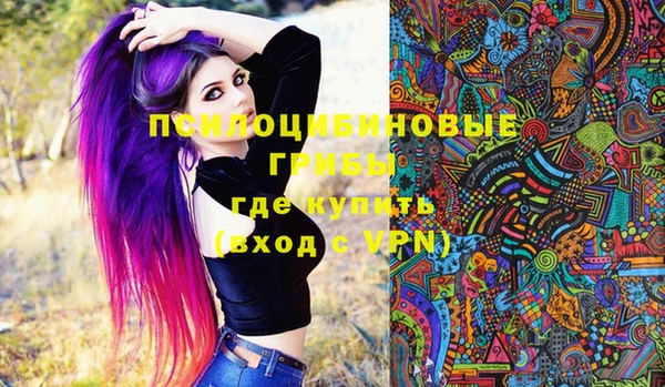 PSILOCYBIN Алексеевка