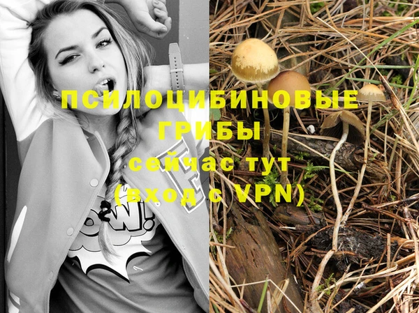 круглые Алзамай