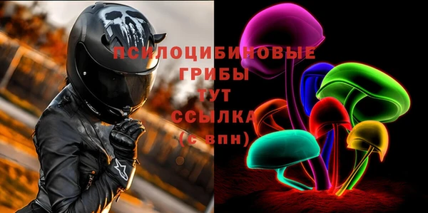 PSILOCYBIN Алексеевка