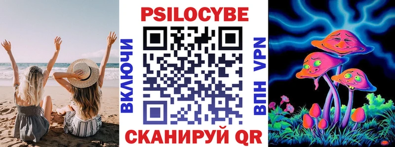 Галлюциногенные грибы Psilocybine cubensis  купить закладку  Лихославль 