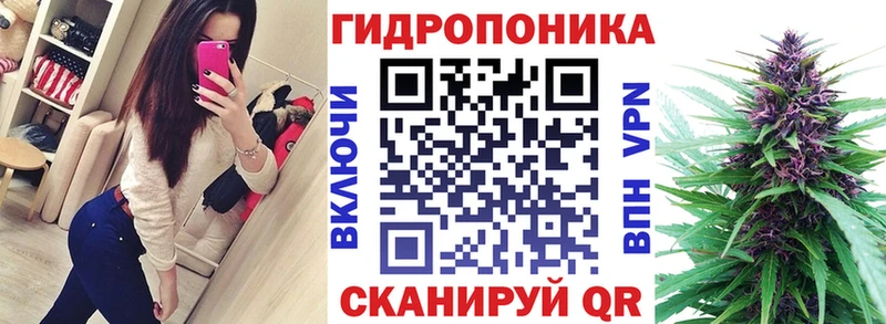 MEGA ONION  Лихославль  Бошки марихуана семена 